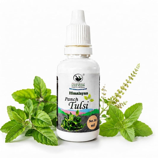 Himalayan Panch Tulsi Drops 30ml | Blend of 5 Sacred Tulsi Varieties | Ayurvedic Herbal Supplement for Immunity, Respiratory Health, Stress Relief & Daily Wellness
