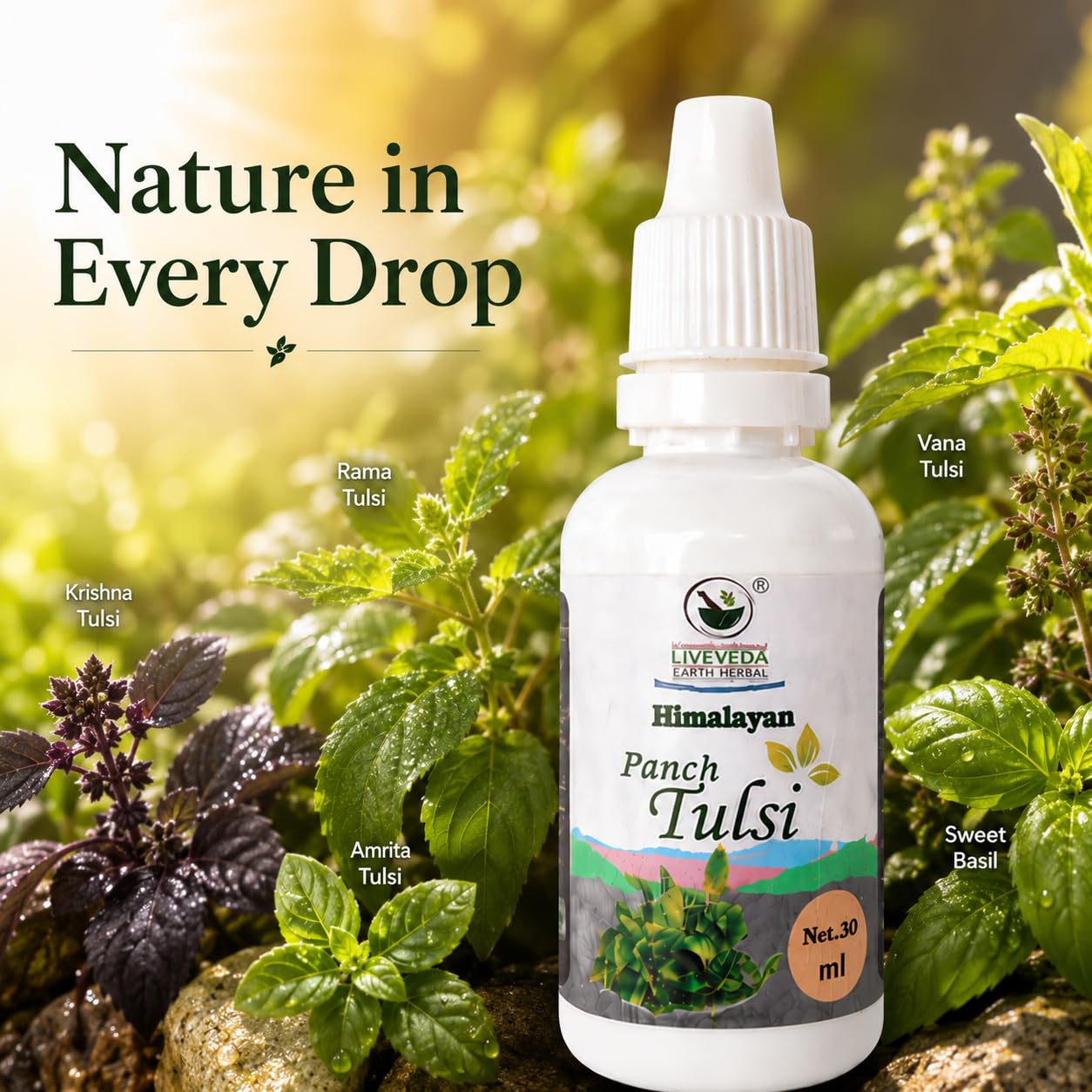 Himalayan Panch Tulsi Drops 30ml | Blend of 5 Sacred Tulsi Varieties | Ayurvedic Herbal Supplement for Immunity, Respiratory Health, Stress Relief & Daily Wellness