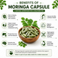 Himalayan Moringa Capsules | 60 Vegetarian Capsules | 100% Natural Moringa Supplement | Rich in Antioxidants, Vitamins & Minerals | Supports Immunity, Energy, Digestion, Skin & Hair Health