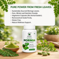 Himalayan Moringa Capsules | 60 Vegetarian Capsules | 100% Natural Moringa Supplement | Rich in Antioxidants, Vitamins & Minerals | Supports Immunity, Energy, Digestion, Skin & Hair Health