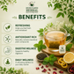 Divine Earth Herbal Refreshment Tea | Premium Herbal Infusion | Green Tea with Peppermint, Hibiscus, Lemongrass & Rose Petals | Refreshing Wellness | 15 Tea Bags (30g)