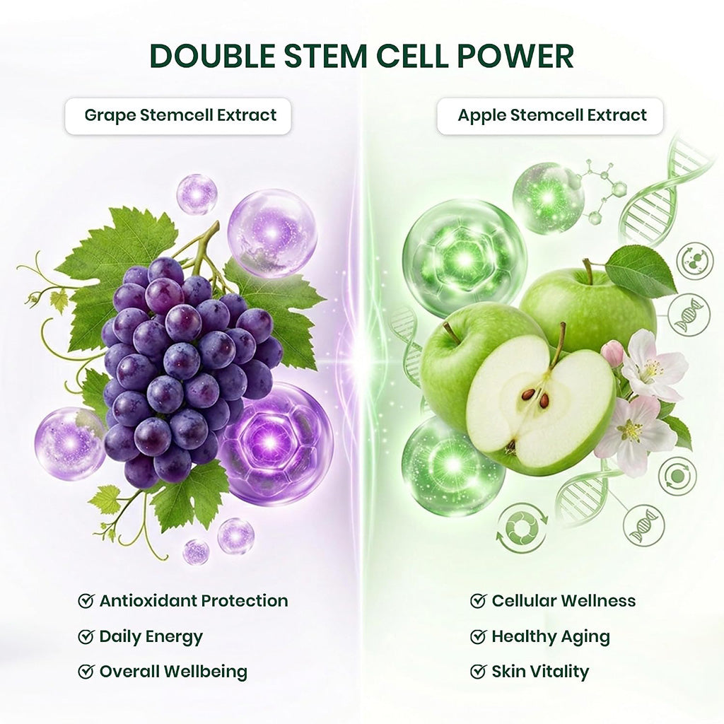 Divine Earth Herbal Himalayan Double Stemcell Capsules | 60 Capsules | Apple & Grape Stem Cell Extract with Acai Berry, Blueberry & Herbal Botanicals | Supports Immunity, Energy, Skin Health & Overall Wellness