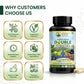 Divine Earth Herbal Himalayan Double Stemcell Capsules | 60 Capsules | Apple & Grape Stem Cell Extract with Acai Berry, Blueberry & Herbal Botanicals | Supports Immunity, Energy, Skin Health & Overall Wellness