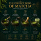 Divine Earth Herbal Matcha Green Tea Powder 100 Grams, Japanese Matcha Powder with 100% Natural, Ultra-Fine, Smooth & No Bitter Aftertaste, Natural Energy & Focus