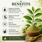 Divine Earth Herbal Insulin Plant Leaf Powder | Costus Igneus Leaf Powder | 100% Natural Herbal Powder | Traditional Ayurvedic Herb | 100g