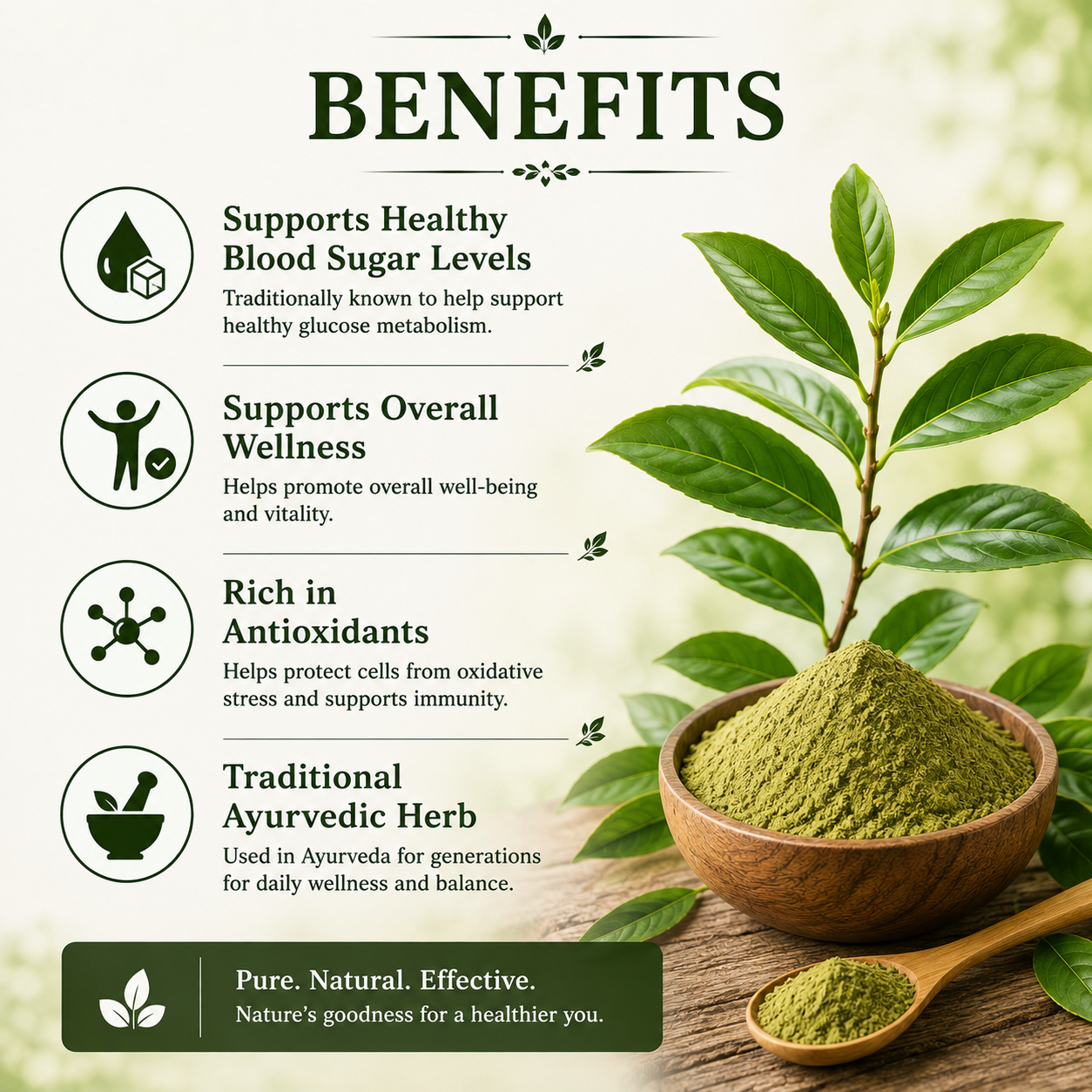 Divine Earth Herbal Insulin Plant Leaf Powder | Costus Igneus Leaf Powder | 100% Natural Herbal Powder | Traditional Ayurvedic Herb | 100g