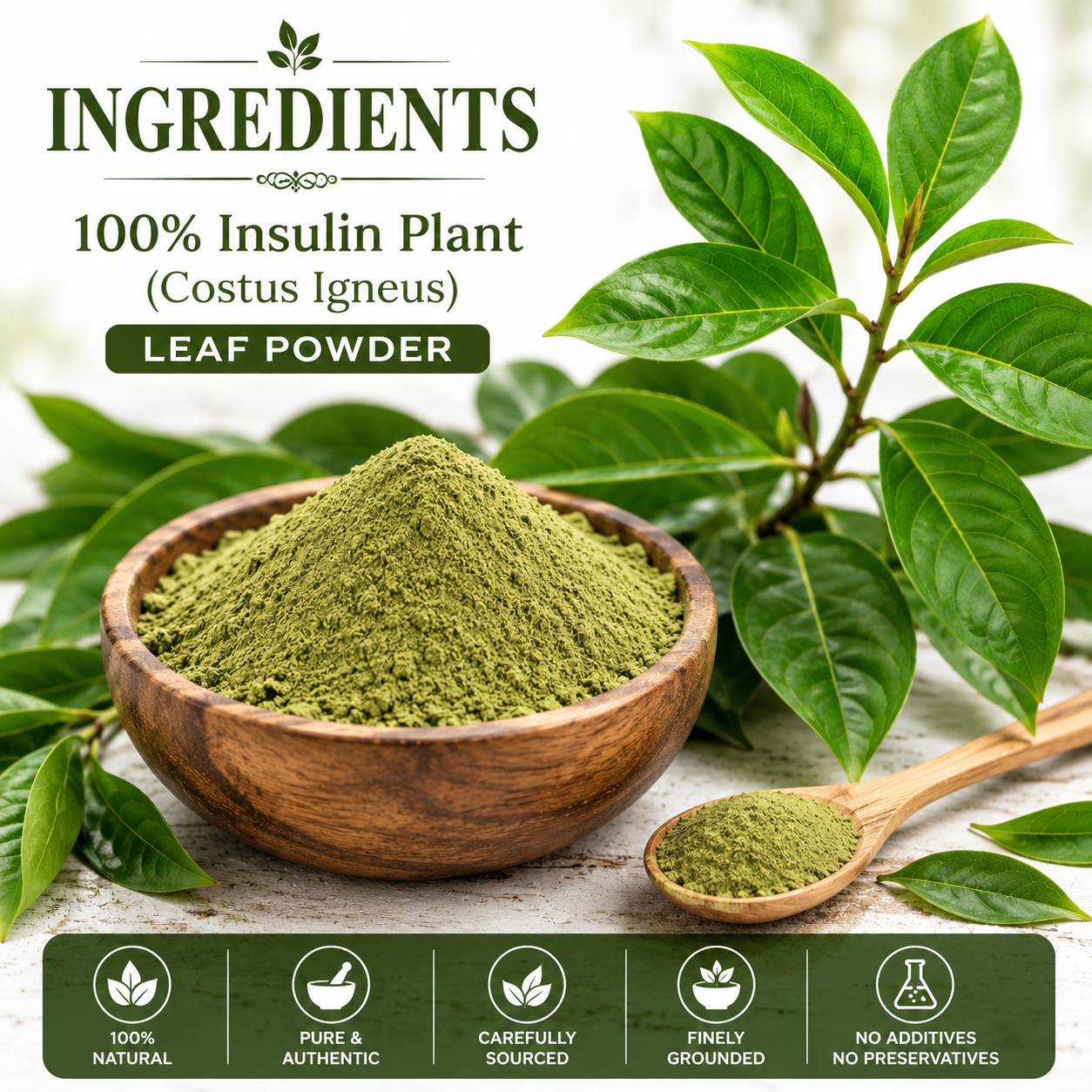 Divine Earth Herbal Insulin Plant Leaf Powder | Costus Igneus Leaf Powder | 100% Natural Herbal Powder | Traditional Ayurvedic Herb | 100g