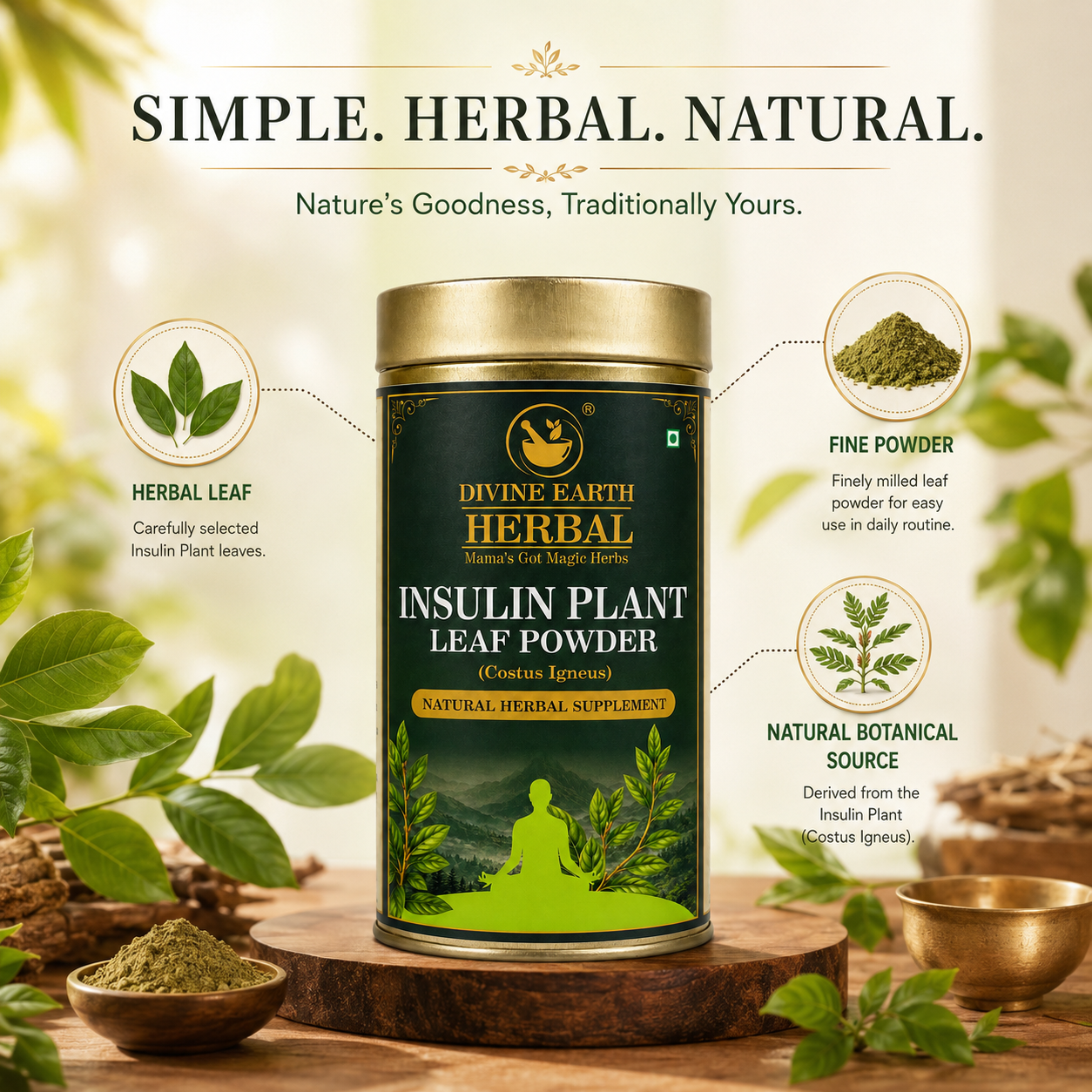 Divine Earth Herbal Insulin Plant Leaf Powder | Costus Igneus Leaf Powder | 100% Natural Herbal Powder | Traditional Ayurvedic Herb | 100g