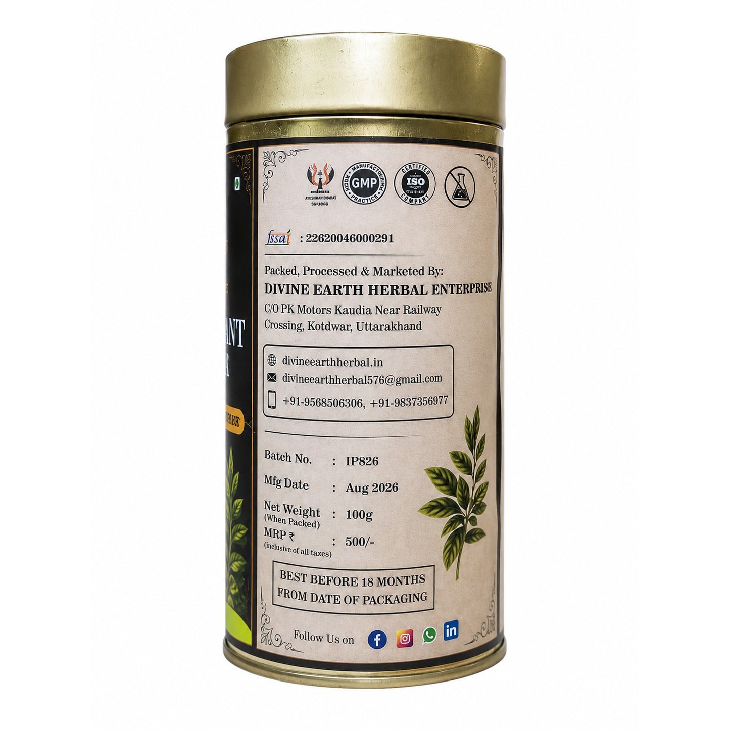 Divine Earth Herbal Insulin Plant Leaf Powder | Costus Igneus Leaf Powder | 100% Natural Herbal Powder | Traditional Ayurvedic Herb | 100g