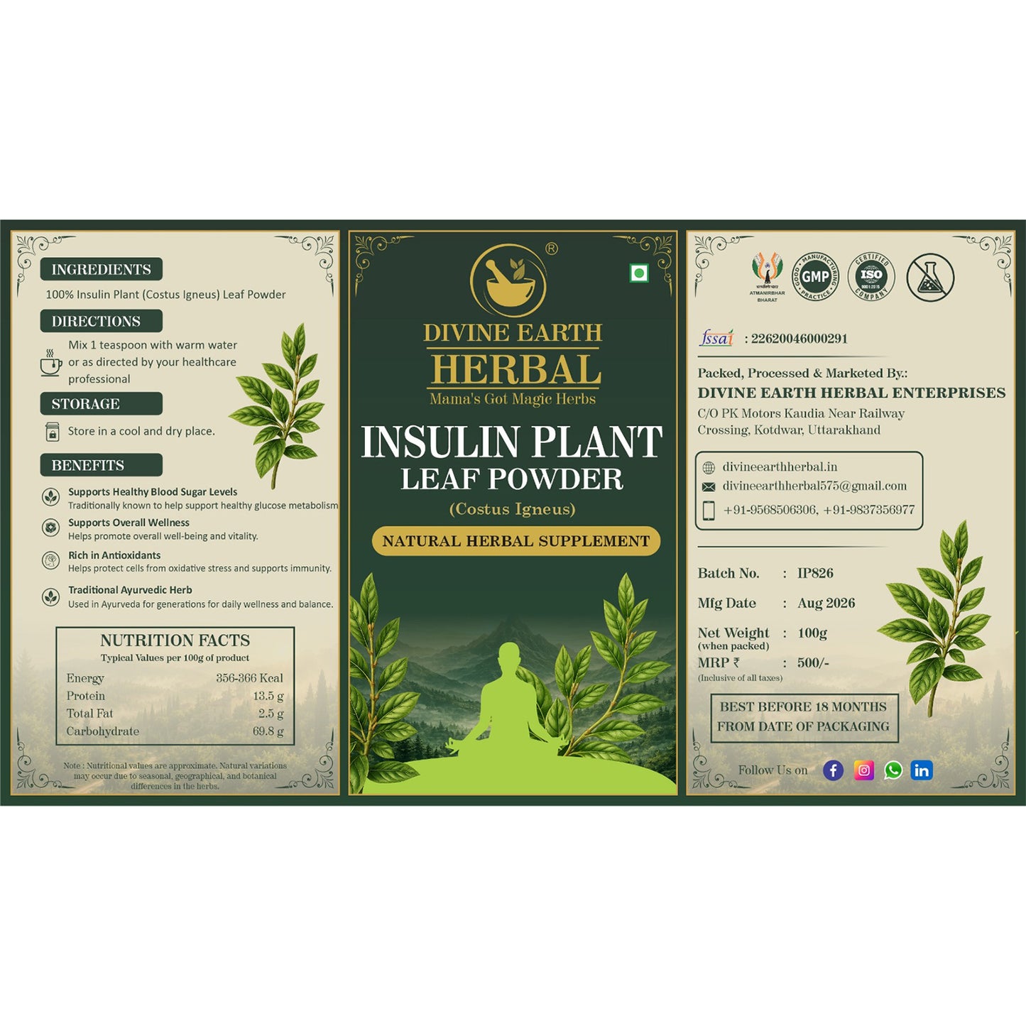 Divine Earth Herbal Insulin Plant Leaf Powder | Costus Igneus Leaf Powder | 100% Natural Herbal Powder | Traditional Ayurvedic Herb | 100g