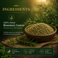 Divine Earth Herbal Rosemary Leaves | 100% Natural Dried Rosemary Herb | Natural Loose Leaf Herbal Tea | Rosemary Herbal Infusion | 50g